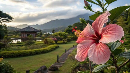 Wall Mural - Large Hibiscus flower bloom in the garden, garden blooms, blooming flowers, bright flowers, hibiscus plant, tropical plants