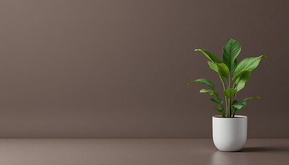 Poster - Single Green Plant in White Pot Against a Brown Wall