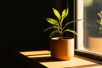 Wall Mural - Sunlit Young Plant In Tan Pot On Windowsill