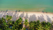 © ธันยกร ไกรสร - Bird's eye view of beach and coconut trees