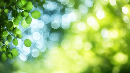 Wall Mural - Fresh Spring Leaves: Close-up of vibrant green leaves with a bokeh background, capturing the essence of spring's renewal and the beauty of nature's details.
