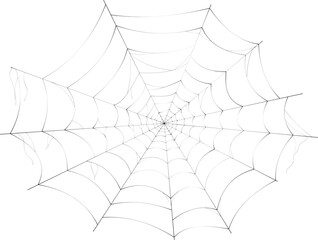 High resolution spider web