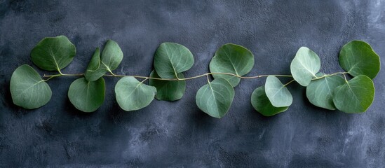 Aufkleber - Green leaves arranged on a dark textured surface with Copy Space for text placement.