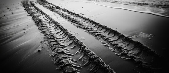 Poster - Tire tracks in wet sand with ocean waves in the background monochrome photography Copy Space