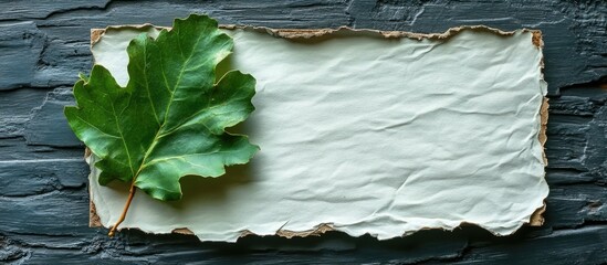 Poster - Textured background with blank parchment paper and green leaf, ideal for natural or organic themed layouts, Copy Space