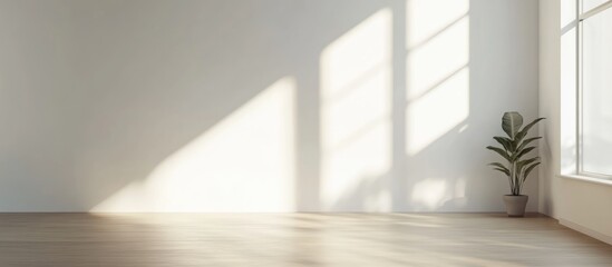 Leinwandbilder - Empty minimalistic interior space with natural light and shadows, featuring a plant in the corner, suitable for Copy Space.