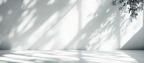 Leinwandbilder - Shadow patterns on a white wall with natural light Copy Space for text placement