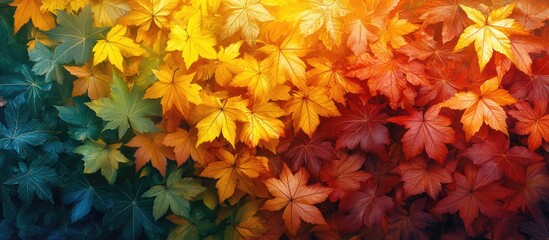 Poster - Colorful autumn leaves in gradient hues of red orange yellow and green with Copy Space for text placement