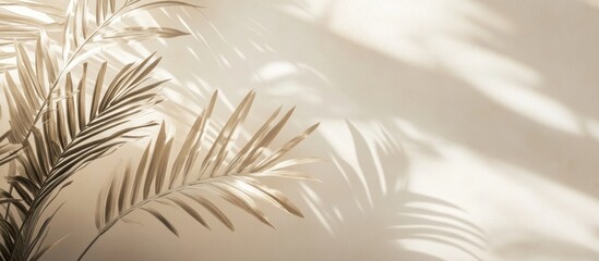 Poster - Tropical palm leaves shadows on beige wall background with copy space