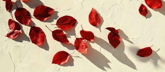 Wall Mural - Red Decorative Leaves on Cream Surface with Shadows and Textured Background