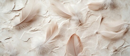 Poster - Delicate Soft Beige Feathers Scattered on Textured Light Background with Copy Space