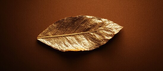 Poster - Golden leaf on a brown background with copy space for text or branding
