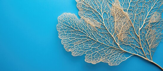 Aufkleber - Delicate transparent leaf skeleton on a bright blue background with Copy Space for text placement