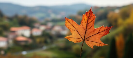 Poster - Autumn maple leaf in focus with blurred village landscape in the background Copy Space