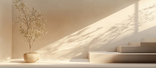 Aufkleber - Interior with minimalistic design featuring a potted plant and stairs, shadows cast by sunlight, Copy Space available.
