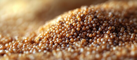Poster - Close-up view of mustard seeds with detailed texture and depth Copy Space