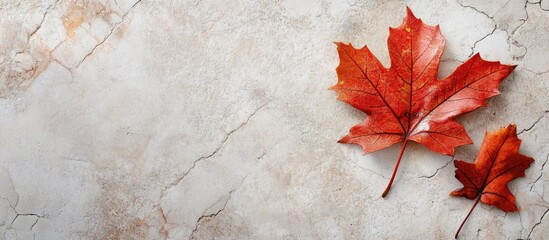 Aufkleber - Red maple leaves on a textured beige stone background with copy space for text.