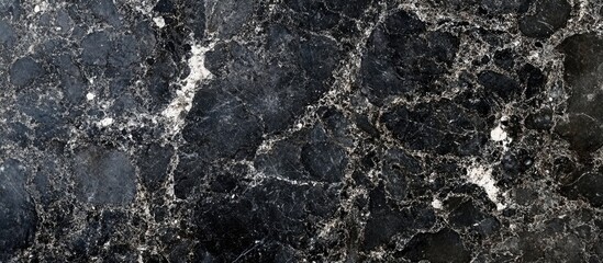 Poster - Dark Marble Texture with White Veining and Natural Patterns