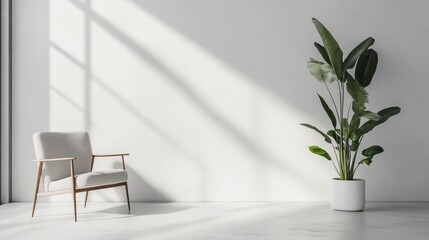 Aufkleber - Modern interior with a white armchair and large potted plant against a bright wall with natural light shadows Copy Space