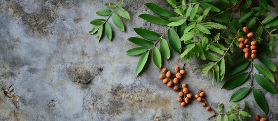 Poster - Green leaves and orange berries on textured gray surface with copy space