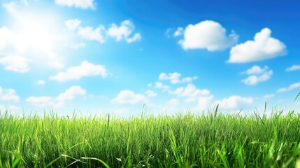 Poster - lush green meadow under a bright blue sky with fluffy clouds and ample empty space for text placemen