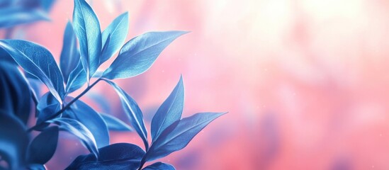 Poster - Blue leaves with soft pink blurred background and bokeh effect providing ample Copy Space for text placement