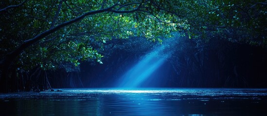 Poster - Enchanting LED illumination in serene mangrove forest at night with ample blank space for text for creative designs and advertisements