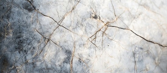 Poster - Abstract marble texture with white and gray tones and subtle gold veining