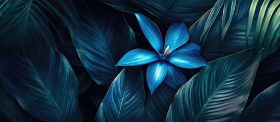 Poster - Blue flower among dark green tropical leaves with copy space for text.