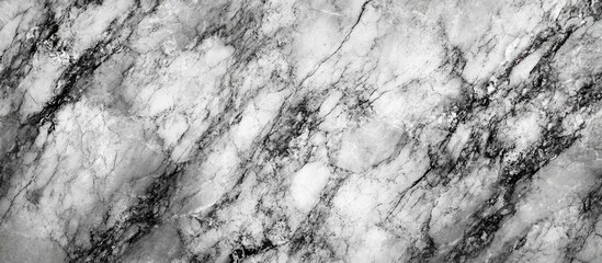 Poster - Black and White Marble Texture Background with Veined Pattern