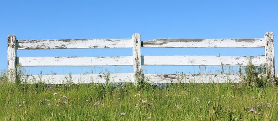 Poster - White rustic wooden fence on green grassy field under clear blue sky