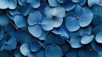Poster - Macro image of vibrant blue flower petals creating an abstract natural backdrop with soft focus for floral design and aesthetic purposes.