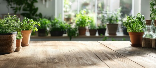 Poster - Wooden Table Surface with Potted Plants in Sunlit Room with Copy Space