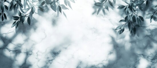 Poster - Tropical leaf shadows on white marble background creating an elegant blank space for text or design enhancements in a serene environment