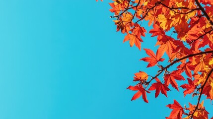 Poster - Lush Autumn Leaves Highlighting Clear Blue Sky with Ample Space for Text Overlays and Creative Designs