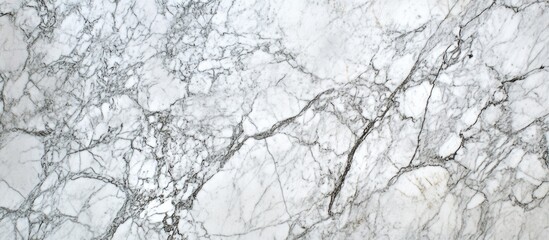 Poster - White marble stone texture background with gray veining and subtle black lines ideal for text overlays and elegant design applications
