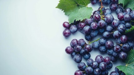 Wall Mural - Fresh vibrant purple grapes with green leaves arranged on a soft white background illustrating natural beauty and healthy eating.