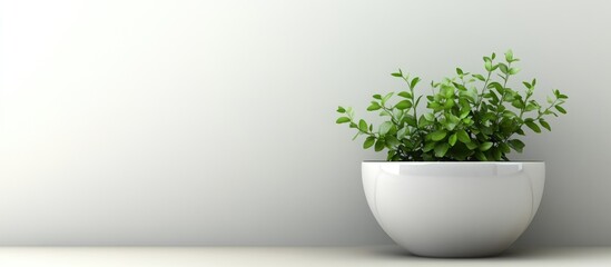 Poster - Indoor Potted Plant with Lush Green Leaves and Ample Copy Space for Text or Branding Background