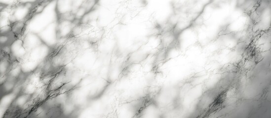 Poster - White marble textured background featuring tropical leaf shadows and ample space for overlaying text or graphics