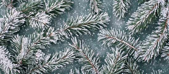 Aufkleber - Close Up of Pine Tree Branches Dusting of Snow Capturing the Beauty of Winter Nature Frozen Landscape in a Serene Snowy Environment