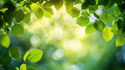 Poster - Lush Green Leaves with Soft Focus Background Ideal for Text Overlay in Nature and Wellness Themes
