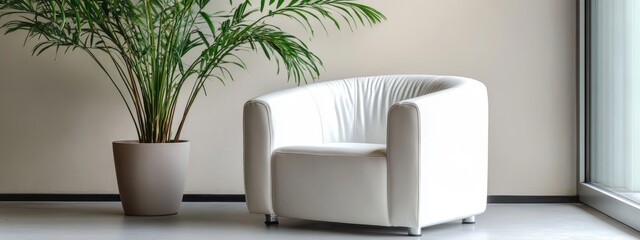 Poster - Modern minimalist interior featuring a white leather armchair beside a tall potted plant with ample empty copy space for text or design elements.