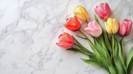 Poster - Colorful Tulips on Marble Surface in Soft Spring Light with Plenty of Copy Space for Text and Design Elements