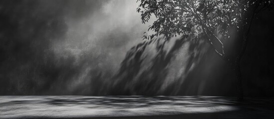 Poster - Black sheet on wall creating tree shadow and light effect in an interior showcase room with ample space for text and visual impact