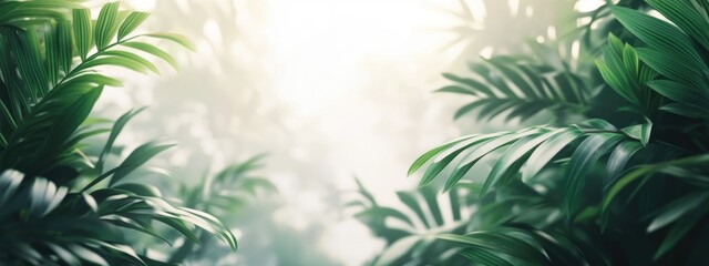 Poster - Tropical leaves on a white background with ample copy space for text or design for creative projects and branding needs