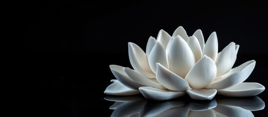 Poster - White Lotus Flower Representing Purity and Serenity with Empty Space for Customizable Text