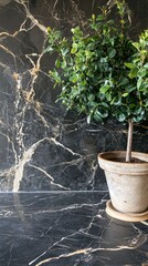 Poster - Potted green plant against a dark marble background creating a modern and elegant still life