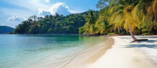 Aufkleber - Tropical beach paradise featuring palm trees and clear waters for travel relaxation with ample space for text or promotional content