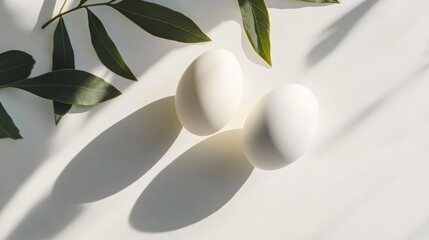 Poster - Fresh Eggs on Minimalist White Surface Surrounded by Green Leaves Emphasizing a Blend of Nature and Simplicity
