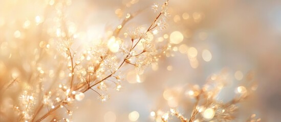 Aufkleber - Delicate golden branches with soft bokeh background and warm light glittering effects Copy Space